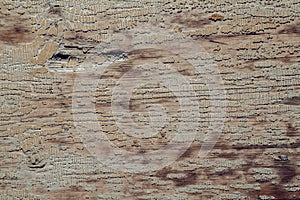 Old wooden cracked background