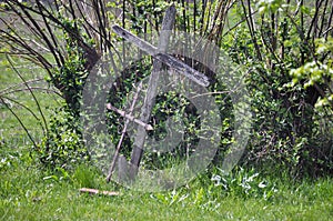 Jewish cemetery photo