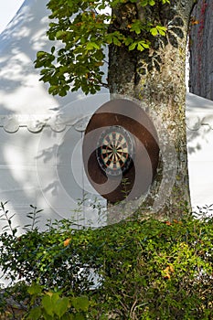 Old wooden dart board hanging outside on a tree