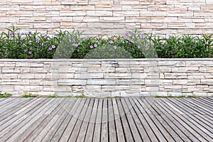 Old wooden decking and plant with wall garden decorative