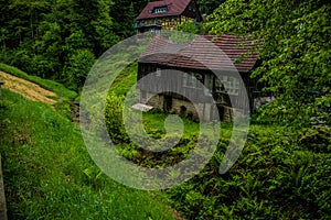 Old wooden destroyed house barn in green forest on riverbank, Kurort Rathen, Germany