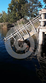 Vecchio di legno più vicino pantano 