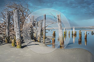 Old wooden dock pilings by the beach under stormy clouds at Mo Clips beach in WA state