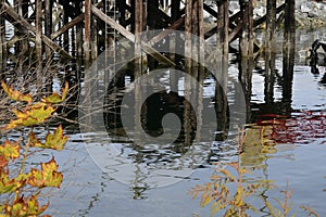 Old Wooden Dock Pillars and Water Reflections