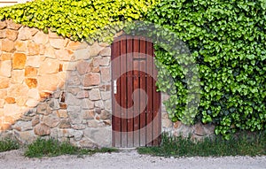 Old wooden door