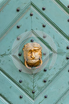 Old wooden door with a brass handle in the shape of a lion`s hea