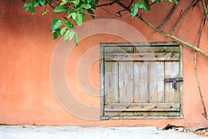 An old wooden door with cement wall and ivy.