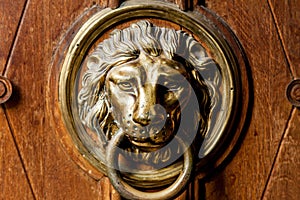 An old wooden door decorated with a lion head