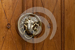 An old wooden door decorated with a lion head