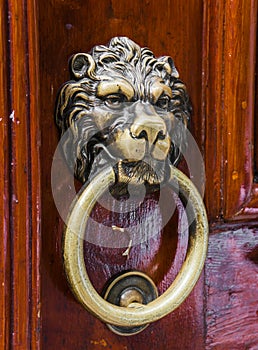 Old wooden door decorated with a lion head