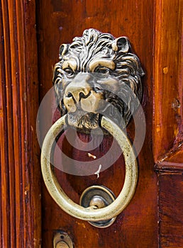 Old wooden door decorated with a lion head