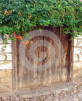 Old wooden door with flowers on top