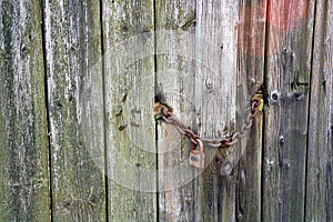 Old wooden door forgotten in time.