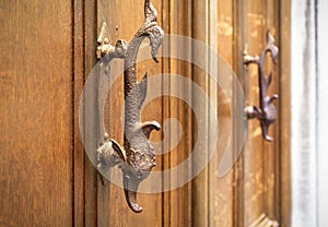 Old wooden door with handles in the form of fish, Venice, Italy