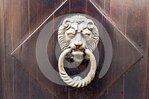 Old wooden door. Heads of lion on the front . vintage door knocker.