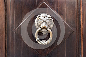 Old wooden door. Heads of lion on the front . vintage door knocker.