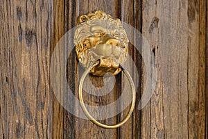 Old wooden door with a lion head as a knocker