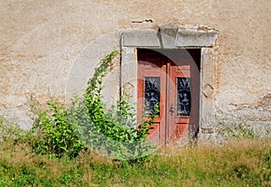 Old wooden door in the old wall.