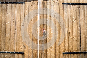 Old wooden door with the padlock