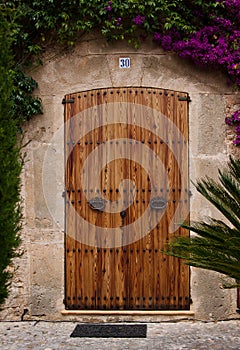 Old wooden door photo