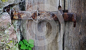 Old wooden door with rusty latch and a shamrock