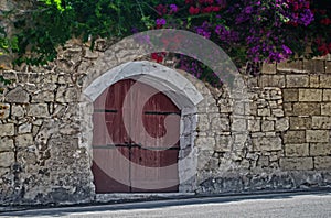 Old Wooden Door surrounded by Flowers