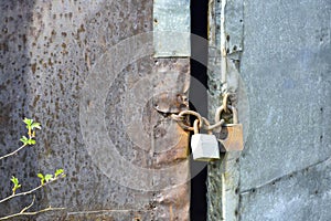 Old wooden door upholstered with rusty iron sheet and galvanized sheet