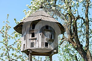 Old wooden dovecote