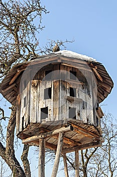Old wooden dovecote