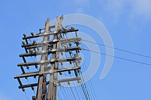 Old wooden electricity post with blue sky