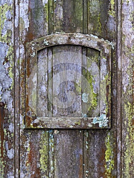 Old wooden door with lichen and moss and a small frame - vertical background texture