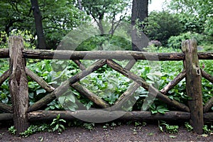 Old wooden fence