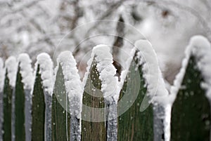 Old wooden fence