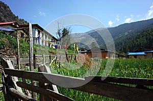 Old wooden fence along wheat field in Junbesi sherpa village photo
