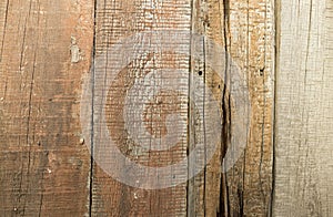 Old wooden fence as a backdrop