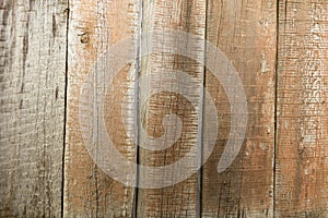 Old wooden fence as a backdrop