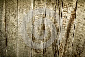 Old wooden fence as a backdrop