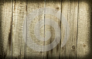 Old wooden fence as a backdrop