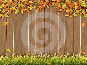 Old wooden fence autumn tree and grass