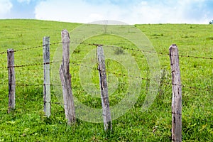 Old wooden fence with barbed wire on a green meadow in a farm