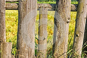 Old wooden fence closeup