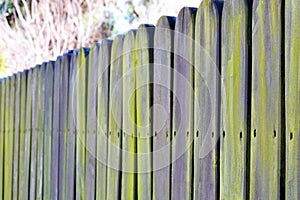 Old wooden fence covered with green moss