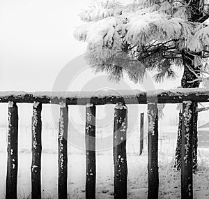 An old wooden fence covered with snow, closeup, black and white.