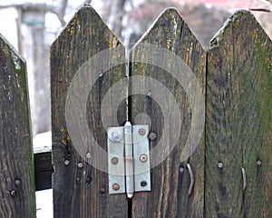 Old wooden fence with hammered bent nails, a loop from the gate.