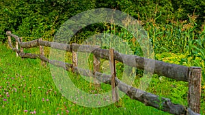 Old wooden fence in the meadow