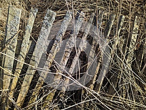 old wooden fence. old and broken wooden fence