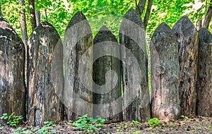 Old fence of sharpened logs in the forest