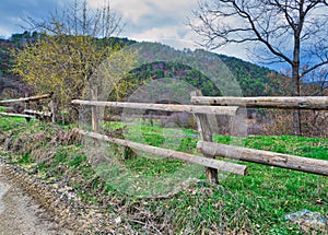 Old wooden fence, trees, green grass, and blue cloudy sky on green meadow