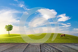 Old wooden floor beside green field on slope, tree and horse with blue sky and clouds background