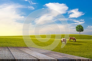 Old wooden floor beside green field on slope, tree and two horse with blue sky and clouds background